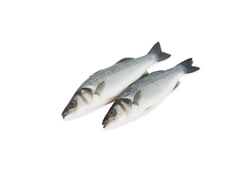 Заказать «Сибас охлажденный 400г» за 560 руб. 400 г. в Москве