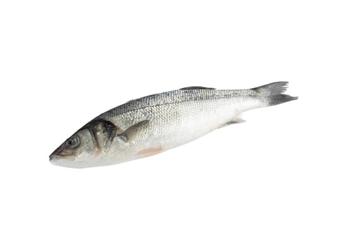 Заказать «Сибас охлажденный 3кг» за 3900 руб. 1000 г. в Москве