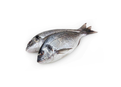 Заказать «Дорадо охлажденная 400г» за 560 руб. 400 г. в Москве