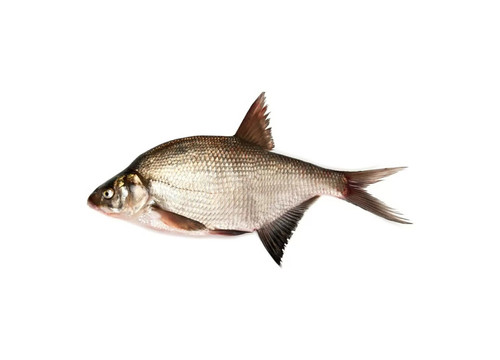 Заказать «Лещ охлажденный» за 550 руб. 1000 г. в Москве