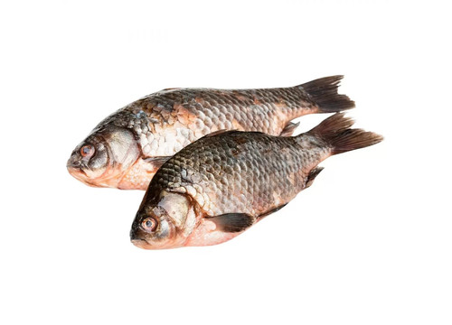 Заказать «Карась охлажденный» за 550 руб. 1000 г. в Москве