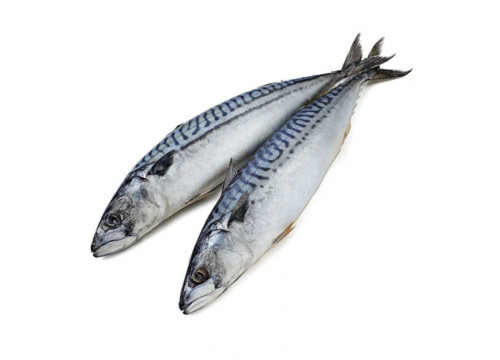 Заказать «Скумбрия см» за 790 руб. 1000 г. в Москве