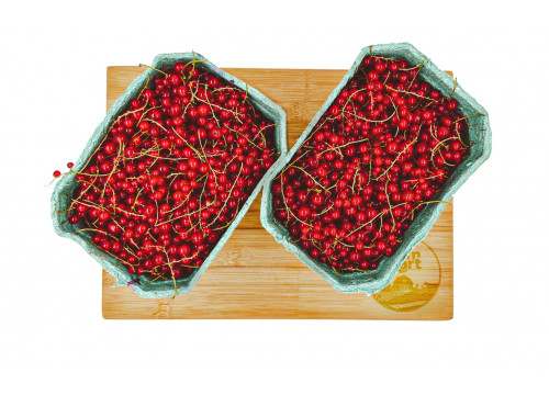 Заказать «Красная смородина» за 550 руб. 1000 г. в Москве