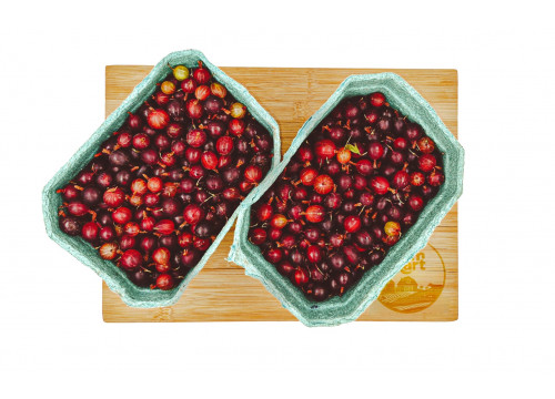 Заказать «Крыжовник» за 550 руб. 1000 г. в Москве