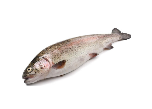 Заказать «Форель радужная охлажденная 2кг» за 1800 руб. 1000 г. в Москве