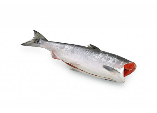 Заказать «Горбуша см без головы» за 850 руб. 1000 г. в Москве