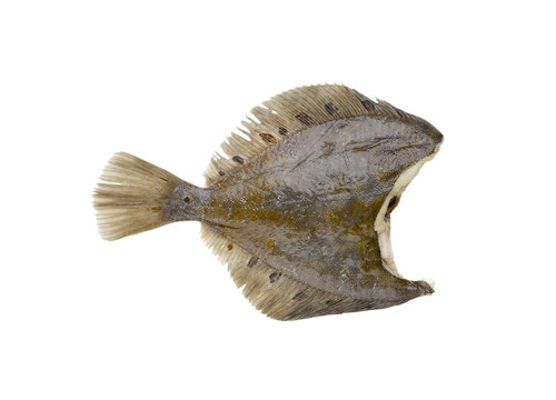 Заказать «Камбала см без головы» за 750 руб. 1000 г. в Москве