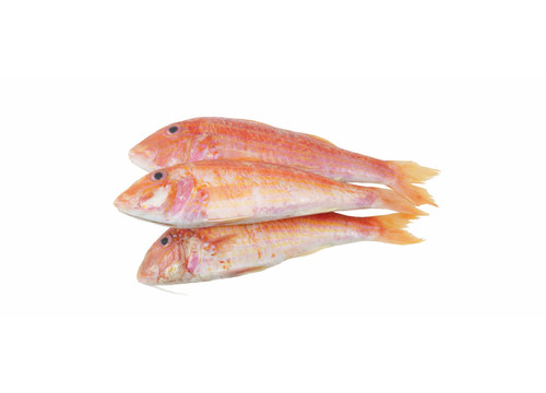 Заказать «Барабулька крупная см» за 1990 руб. 1000 г. в Москве