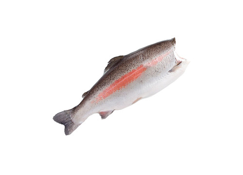 Заказать «Форель см 2кг» за 1800 руб. 1000 г. в Москве