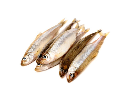 Заказать «Корюшка см» за 790 руб. 1000 г. в Москве