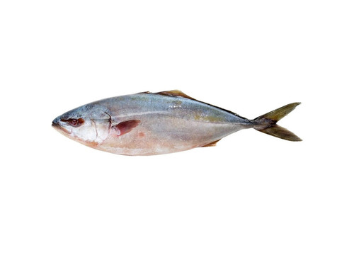 Заказать «Желтохвост см» за 690 руб. 1000 г. в Москве